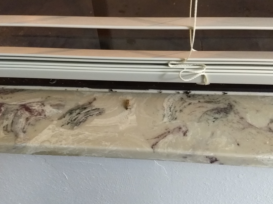 Knights Inn West Memphis主图