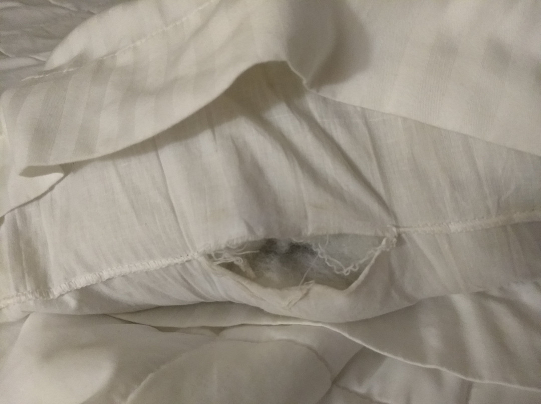 Knights Inn West Memphis主图