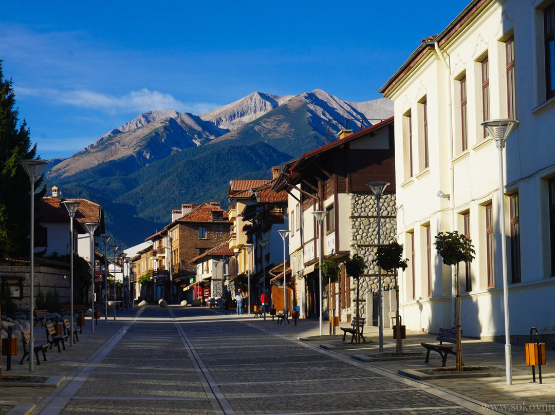 Pirin Street景点图片