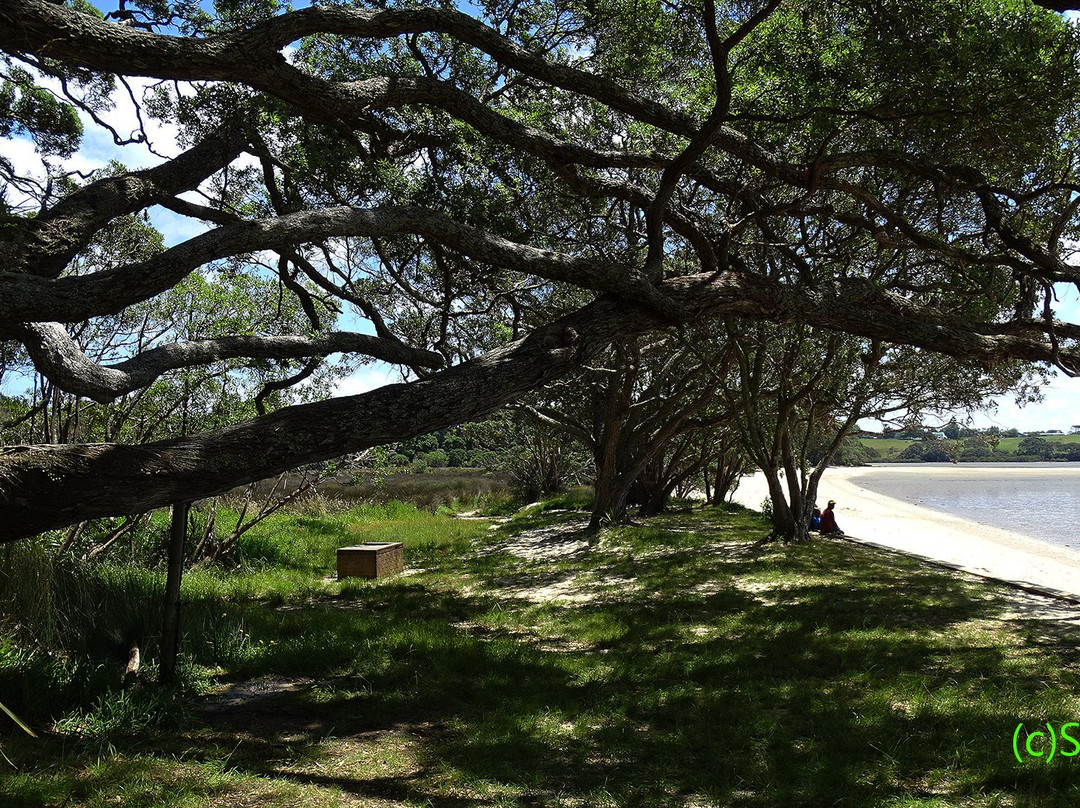 Awhitu Regional Park景点图片