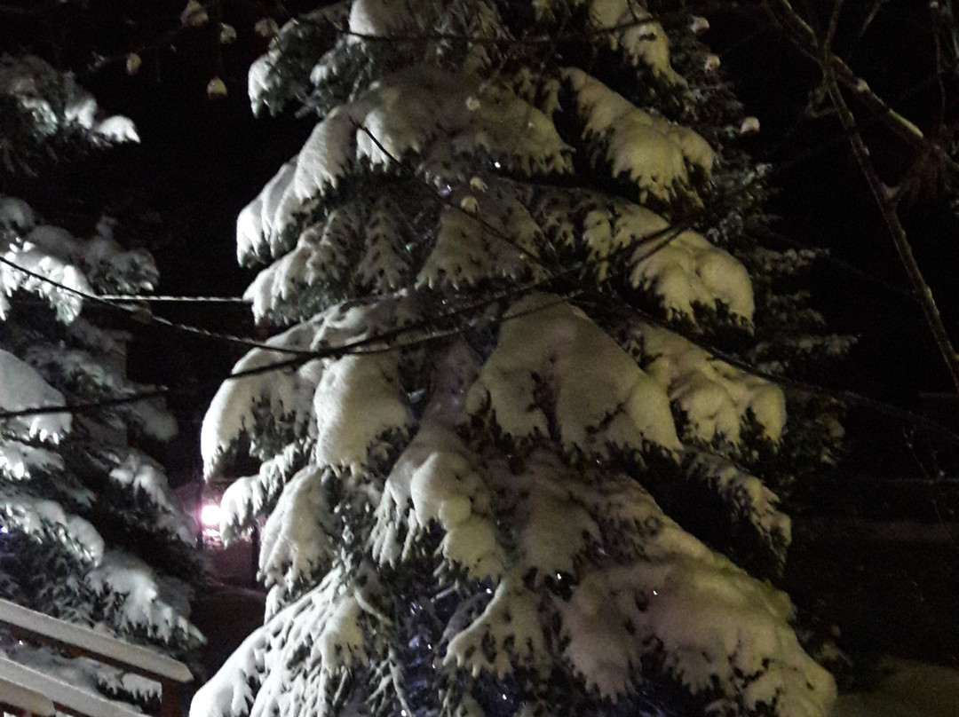 Hotel Complex Rosinka主图