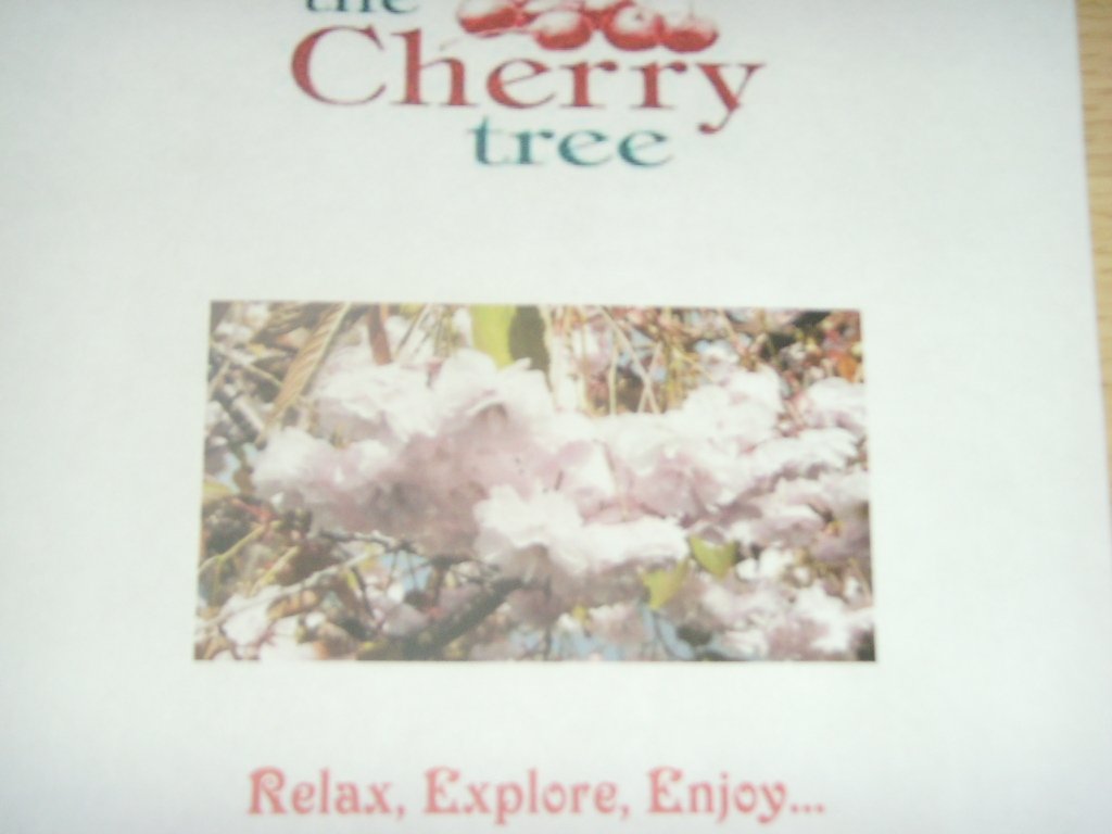 The Cherry Tree B&B Hotel-浴室