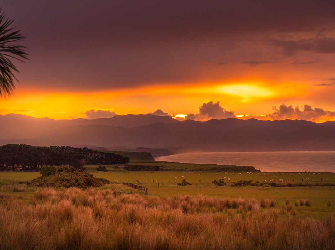 华勒夸豪田庄酒店主图