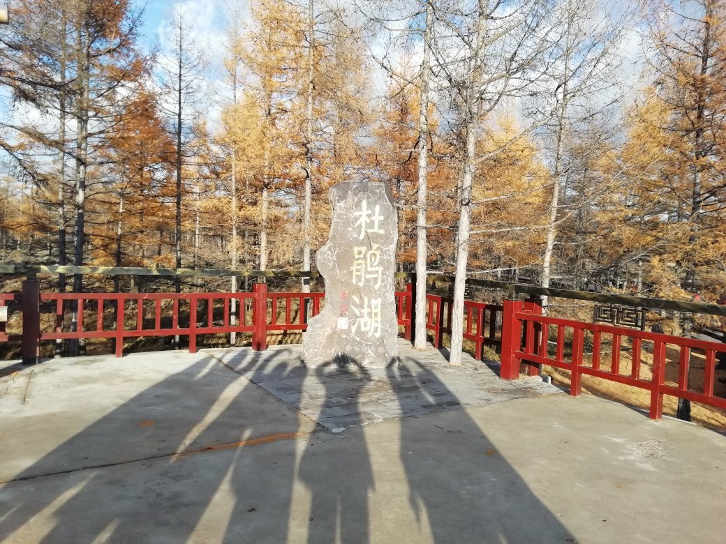 兴安杜鹃湖-阿尔山市必去景点