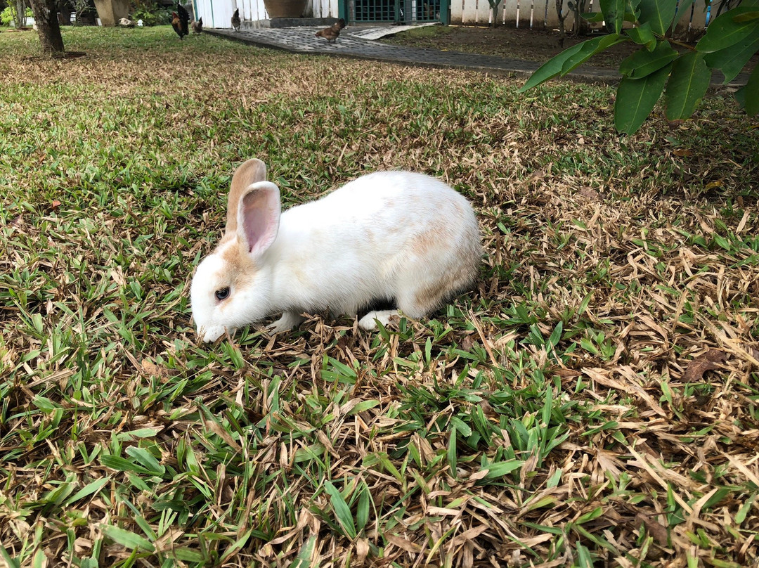 Kalaka Homestay主图