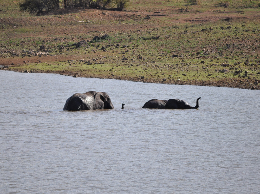 African Tracks Safaris-比勒陀利亚必去景点