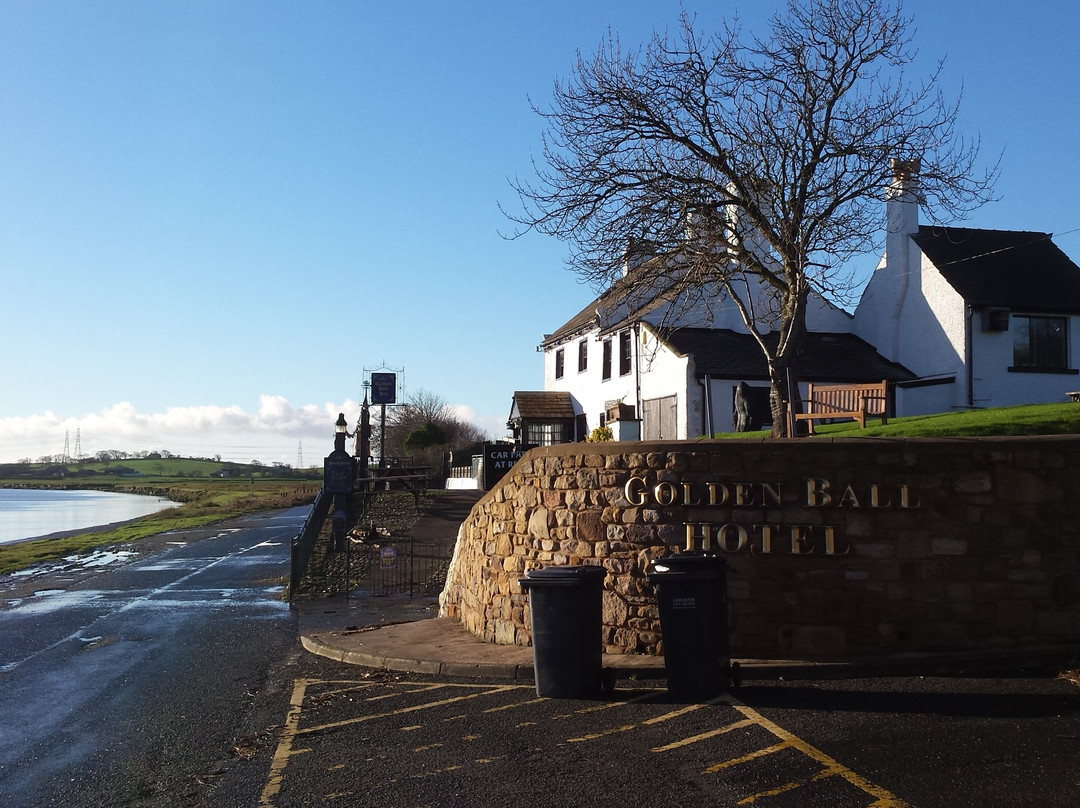 The Golden Ball Luxury Pods主图