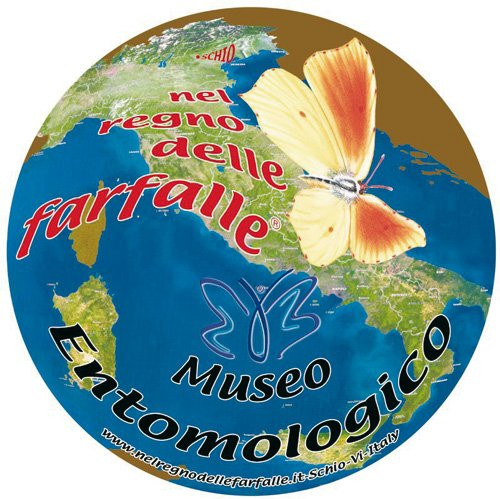Museo Entomologico nel Regno delle Farfalle - Onlus景点图片