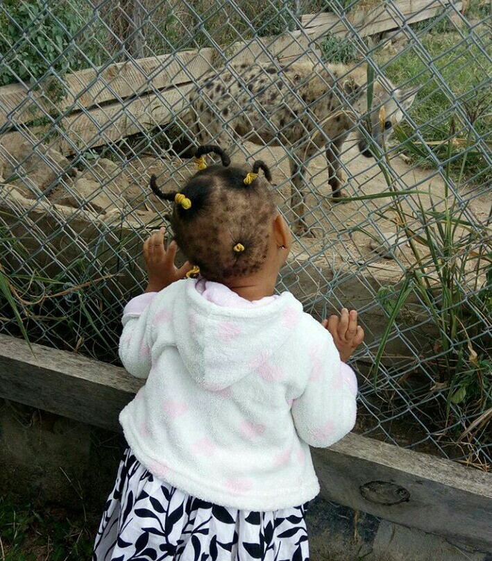 Ifisi Community Centre主图