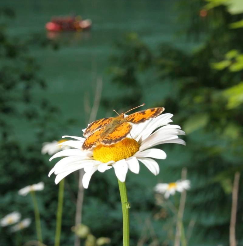 REO Rafting Resort-波士顿巴必去景点