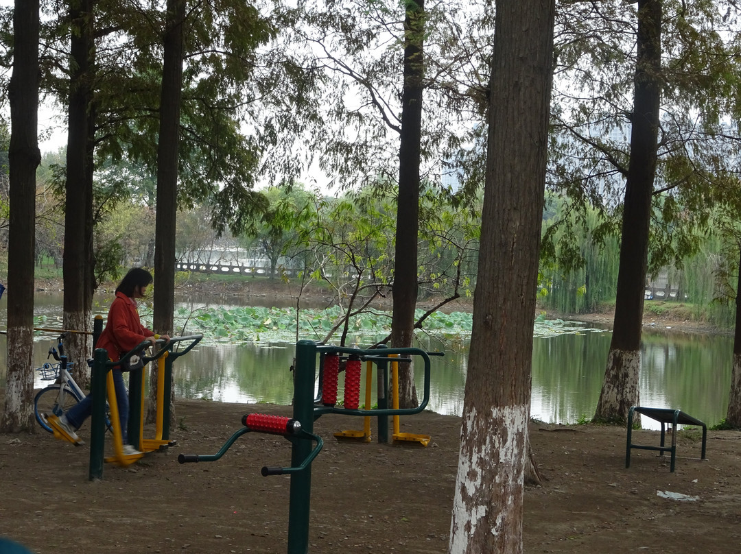 万寿园-荆州市必去景点