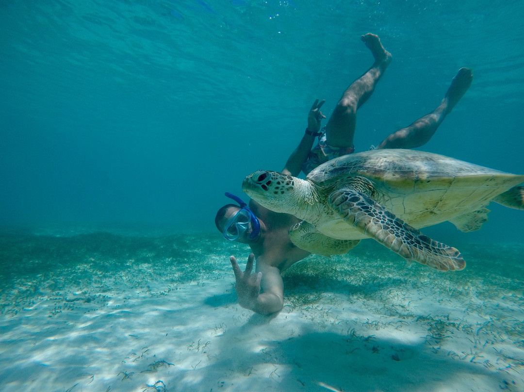 ATAO Taxi Boat-努美阿必去景点