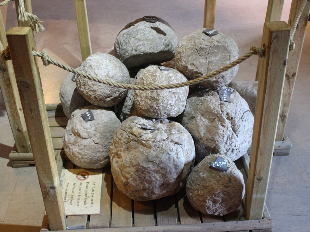 Musee de Montsegur-Montsegur必去景点