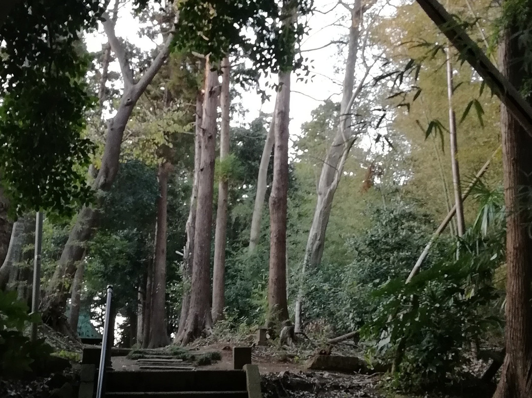 Hachiman Shrine-佐仓市必去景点