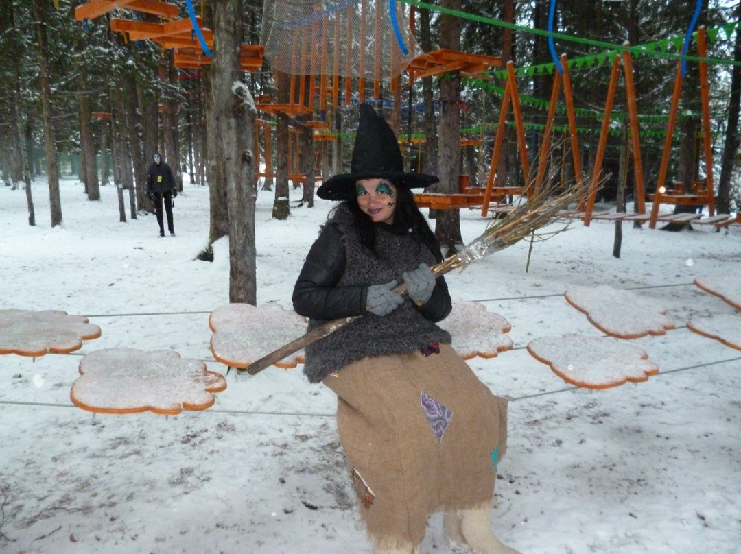 Rope Park Gammy景点图片
