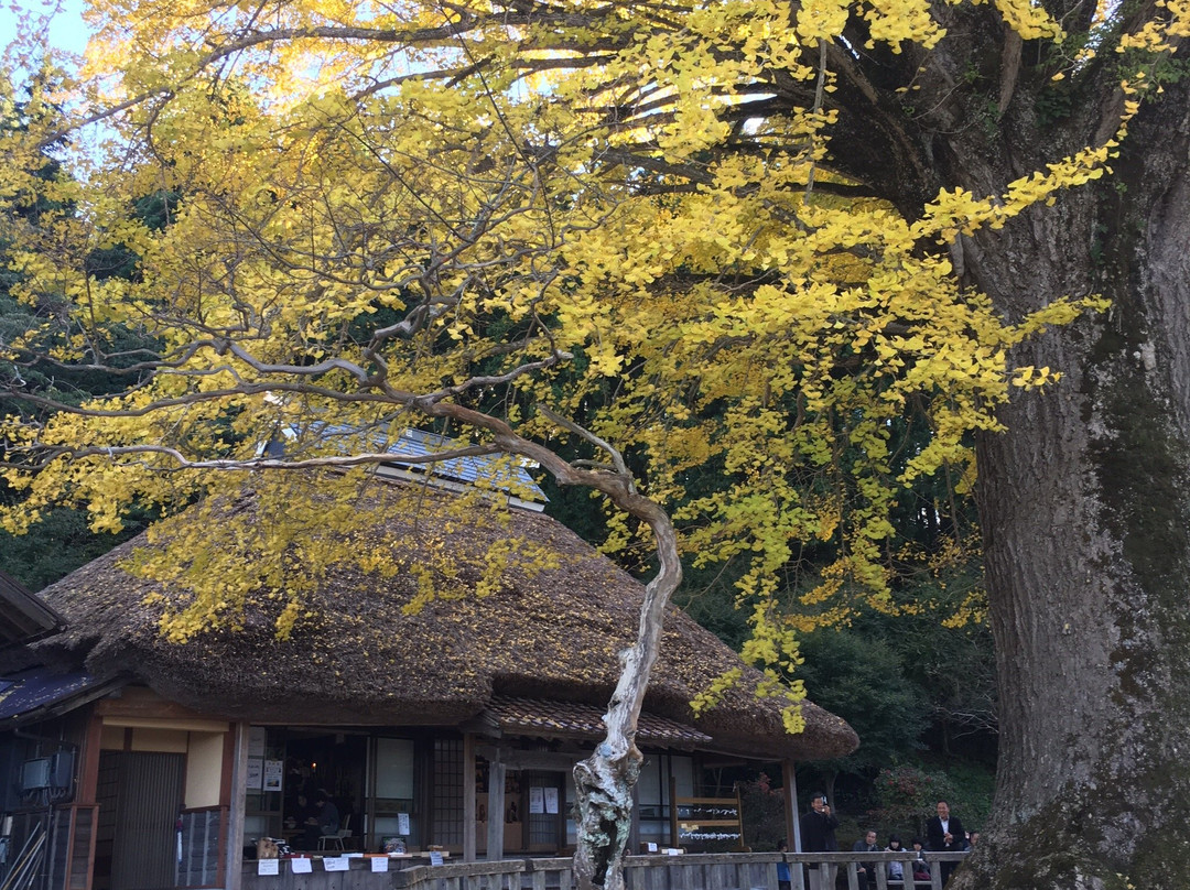 Kingen-ji Temple-奥出云町必去景点