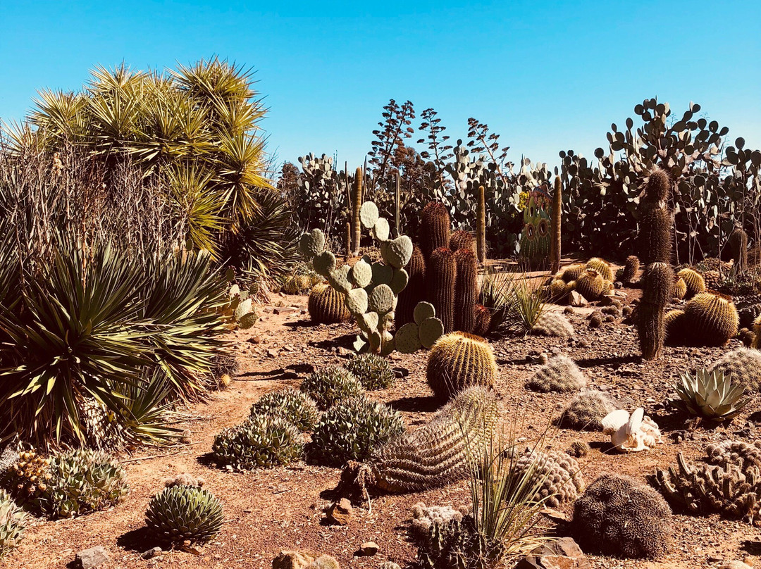 Strathmerton旅游攻略图片