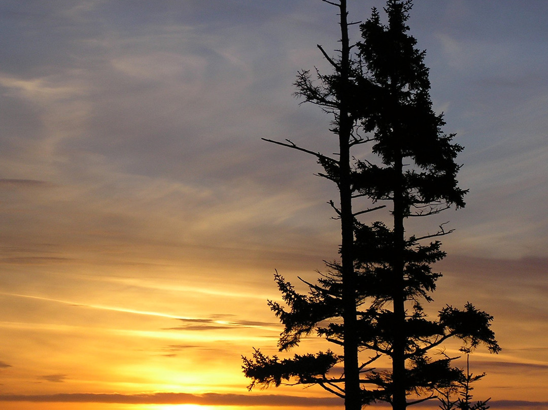 Serenity Now! Bed and Breakfast主图