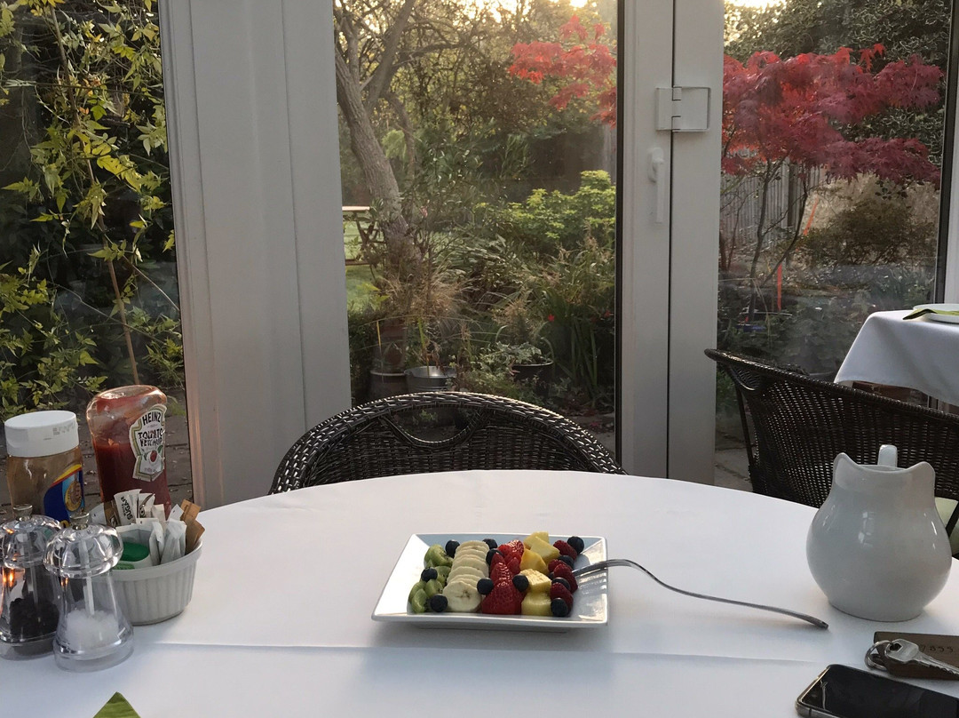 The Olive Tree B&B
