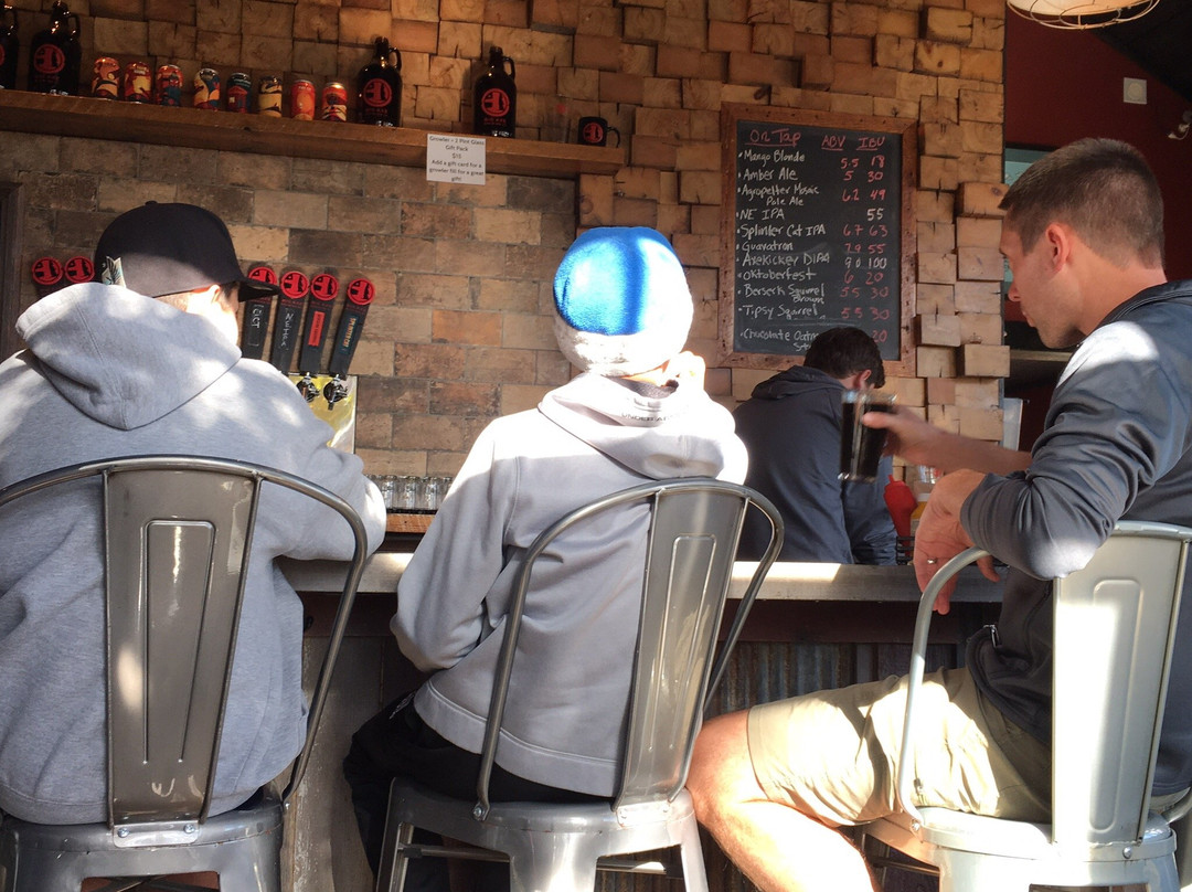 Big axe brewing-Nisswa必去景点