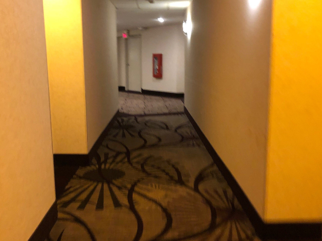 Best Western Plus Steeplegate Inn主图