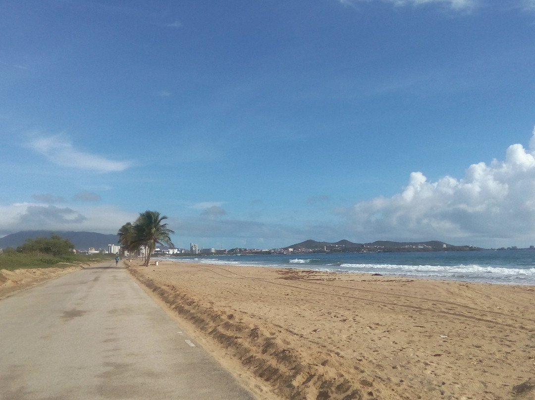 Playa La Caracola景点图片