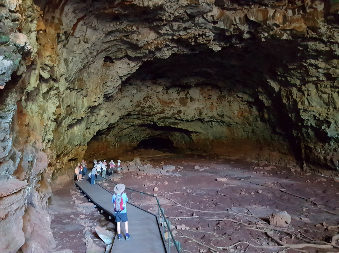 Mulga Bicycle Tours-堪培拉必去景点