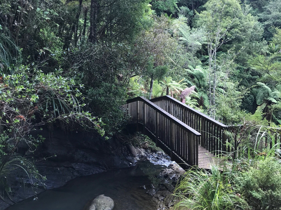 Fairy Falls-奥克兰必去景点