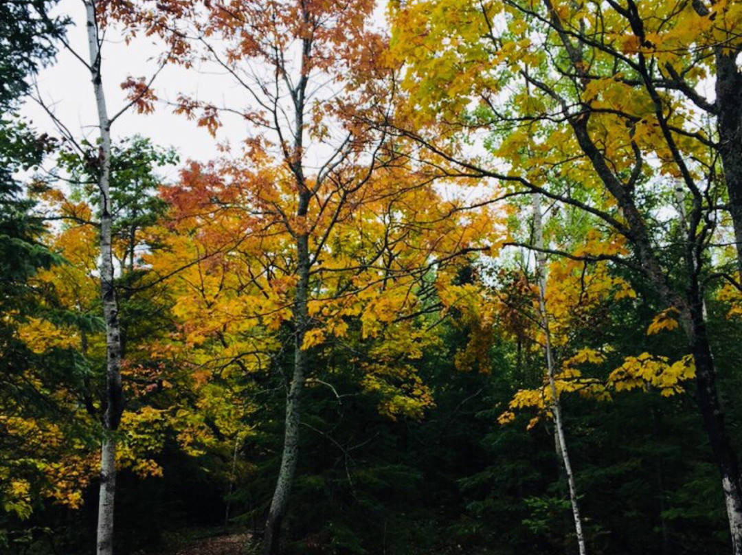 East Bluff Lookout-Gore Bay必去景点