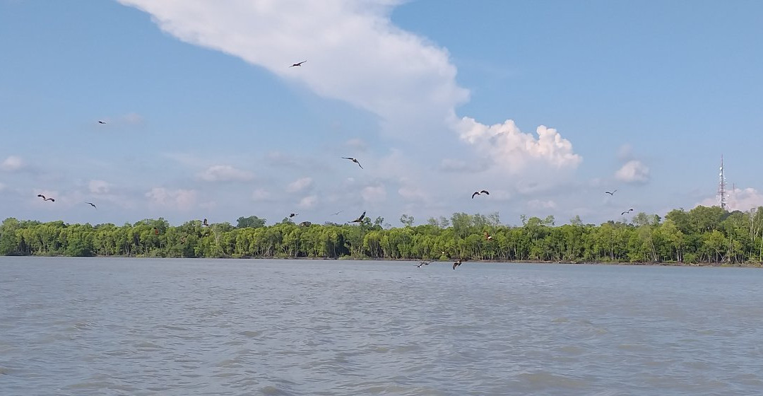 Kuala Selangor Historical Museum-瓜拉雪兰莪必去景点