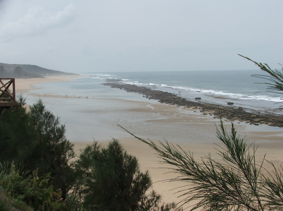 Go Wild Resort主图