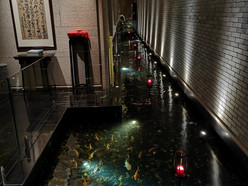 Gallery 2