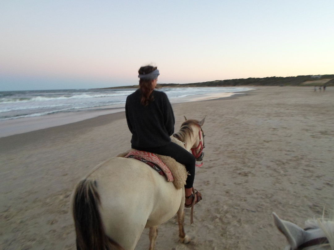 Cabalgatas Punta del Diablo-Punta del Diablo必去景点