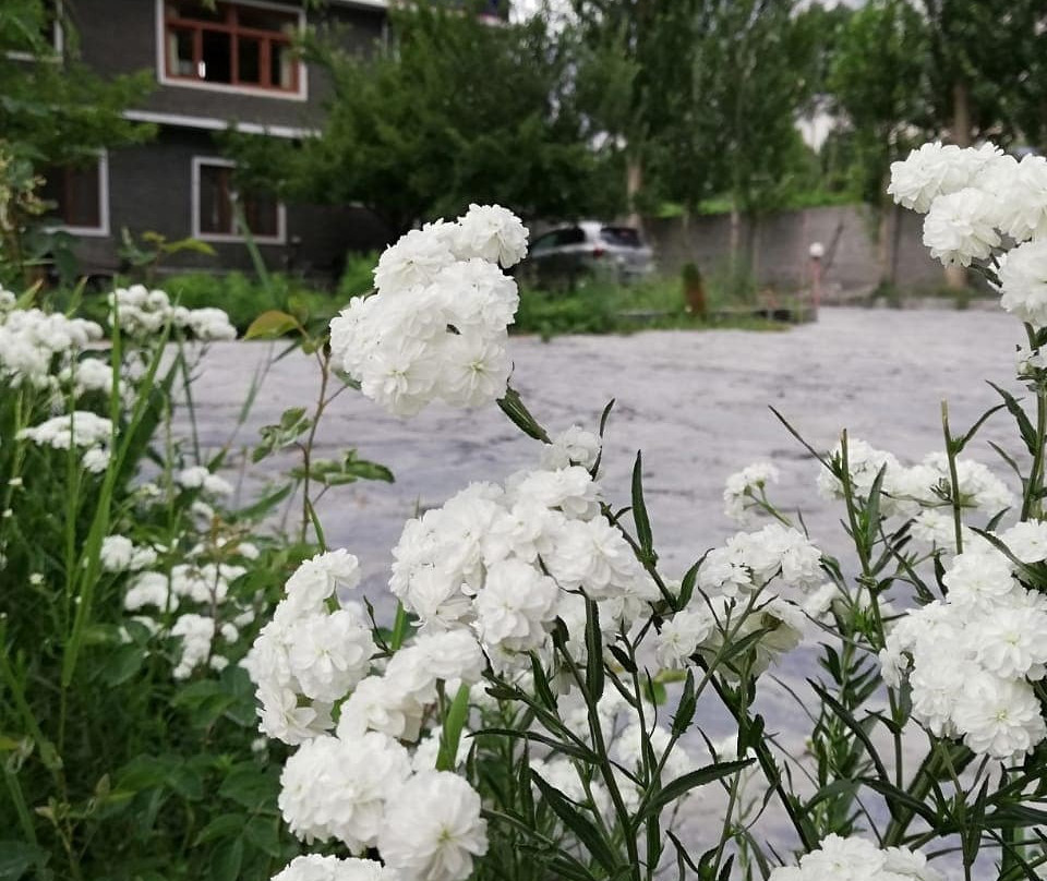 Gulmit Continental Hotel主图