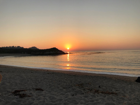 Dream Tours By-The-Sea-蒙特雷必去景点