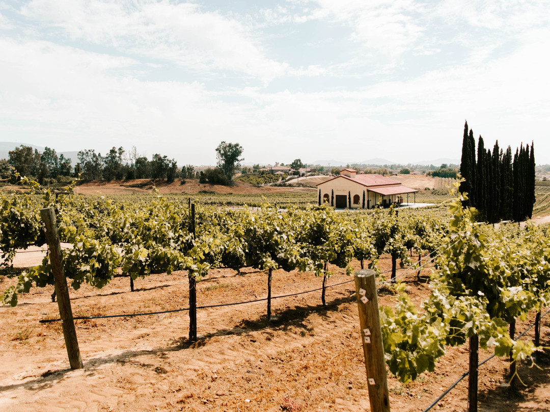 Danza del Sol Winery景点图片