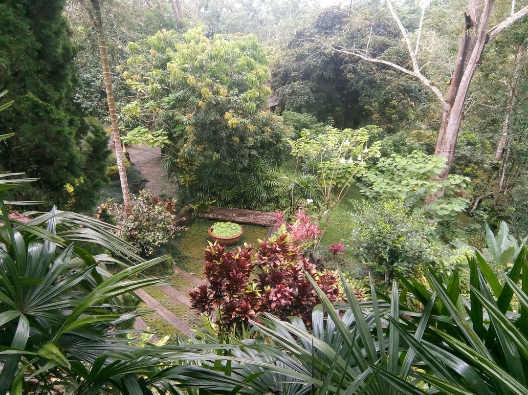 32 Coffee Hill & Resort主图