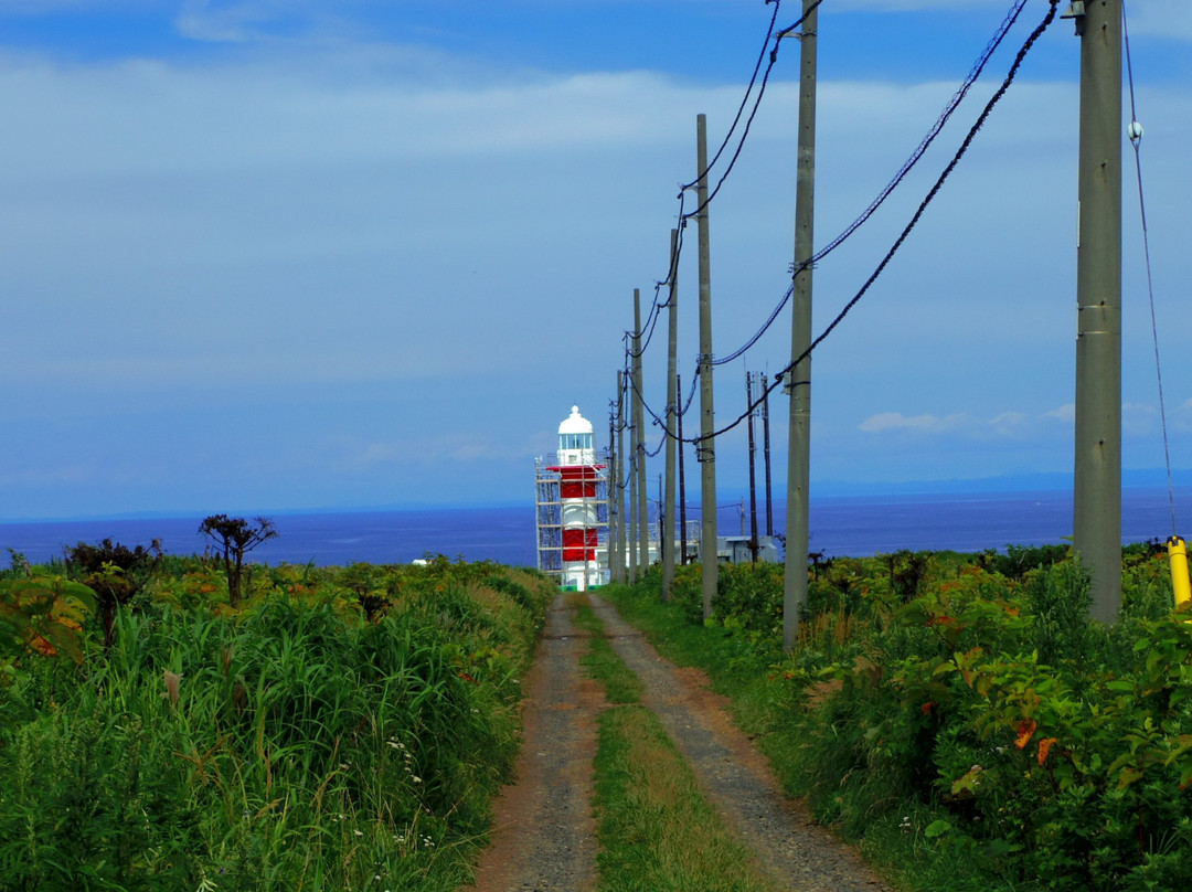 Teuri Island Lighthouse景点图片