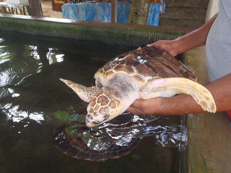 Classical Lanka Tours-科伦坡必去景点