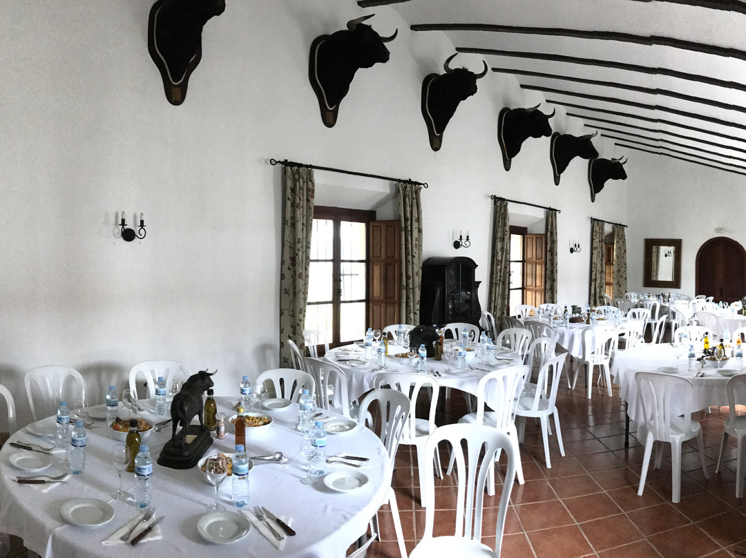 Ganaderia Gavira-Los Barrios必去景点