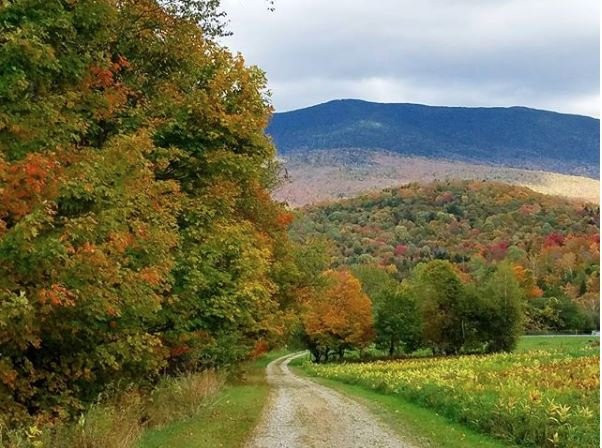 Vermont Bed And Breakfast At Russell Young Farm主图