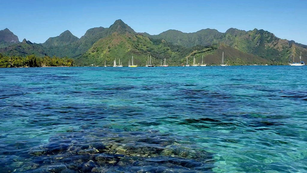 Polynesian Spirit-莫雷阿岛必去景点