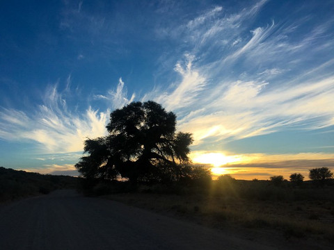 Twee Rivieren Restcamp主图