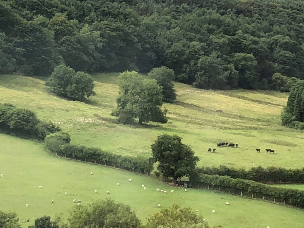 Stepney Hill Farm景点图片