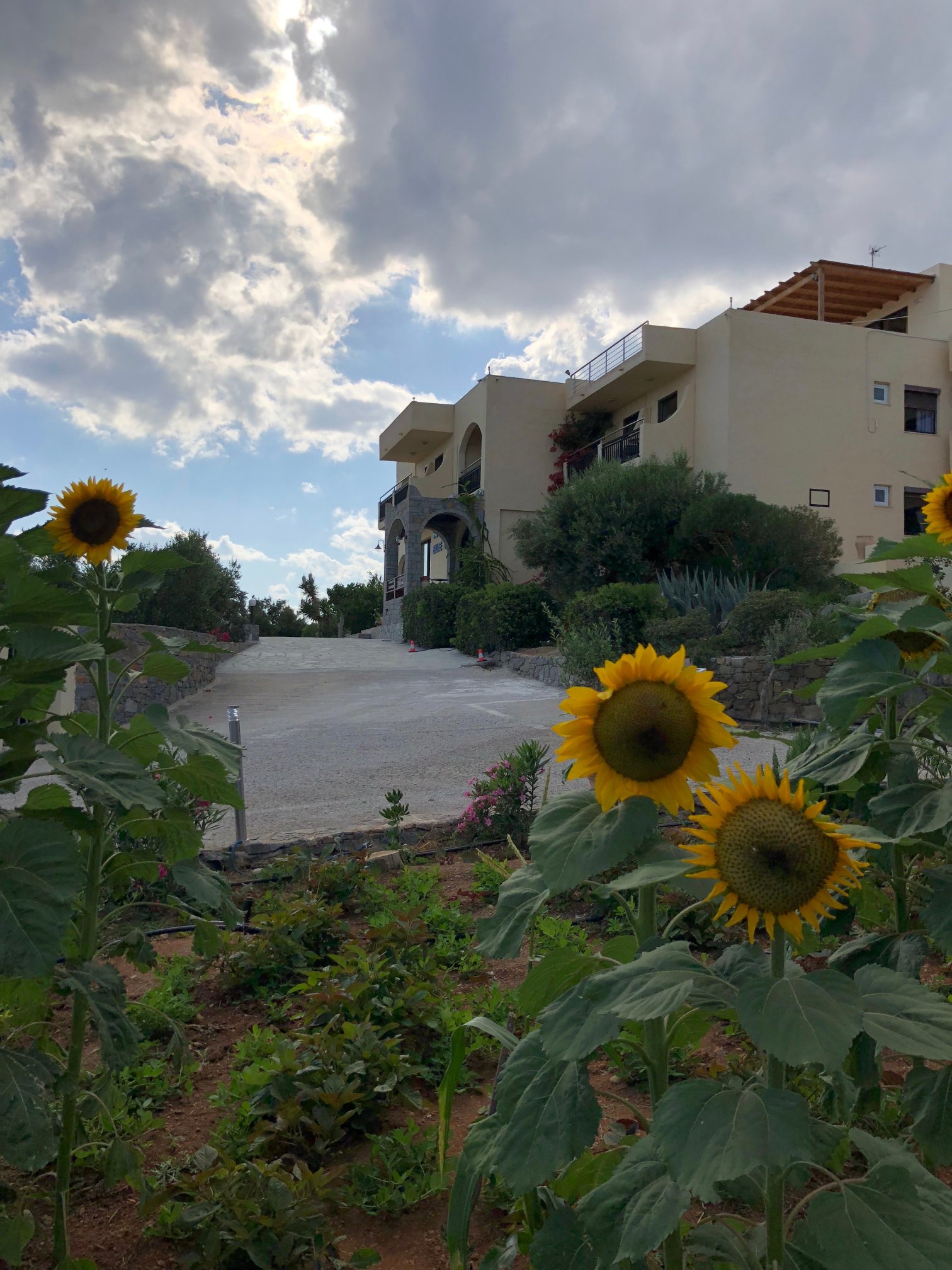 Blue Sky Hotel-官方