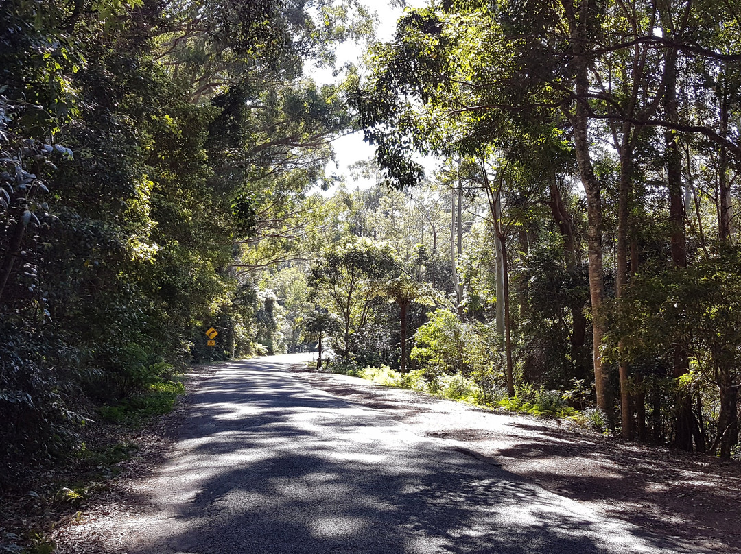 Kamarun Lookout-Scenic Rim必去景点