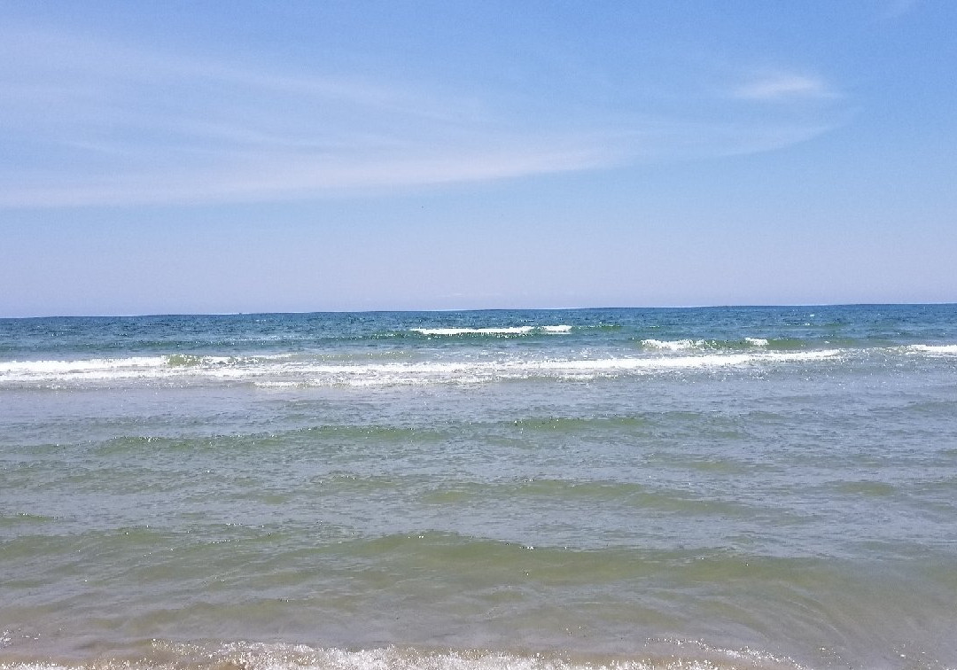 2023年11月Michael J. Ellis Beach & Seawall景点攻略Michael J. Ellis Beach