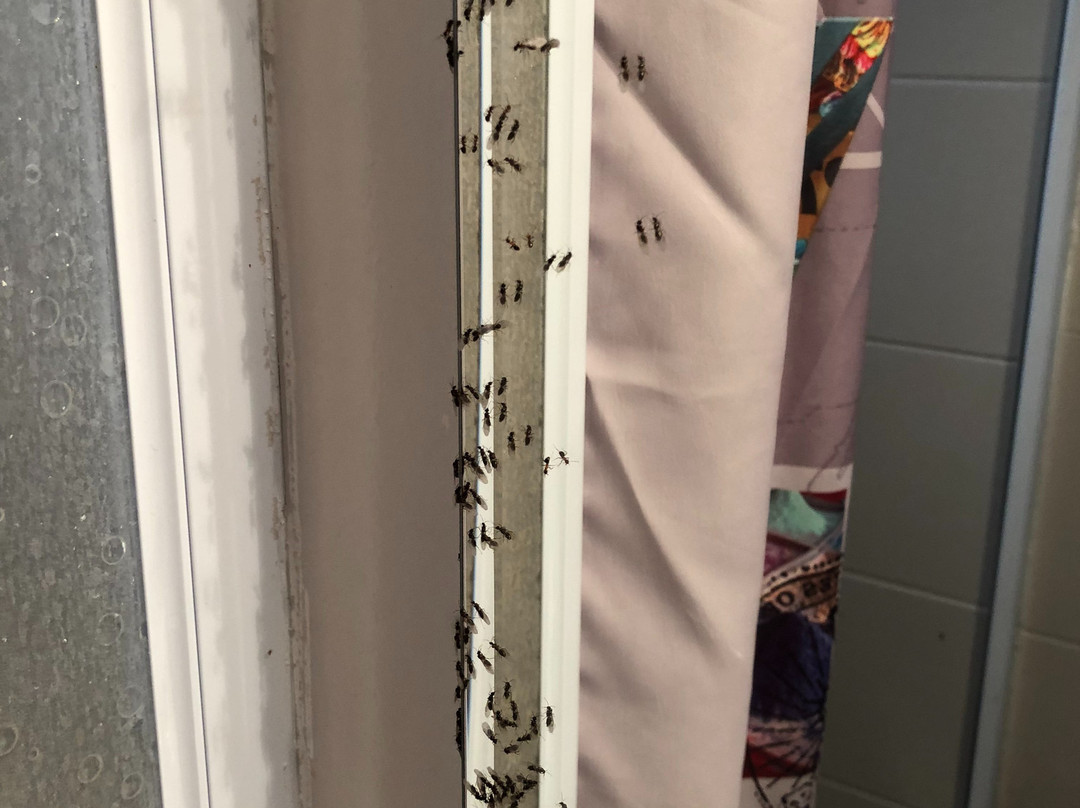 Hotel La Roseraie主图