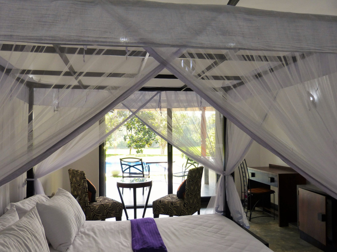 Tropical Dream Villa主图