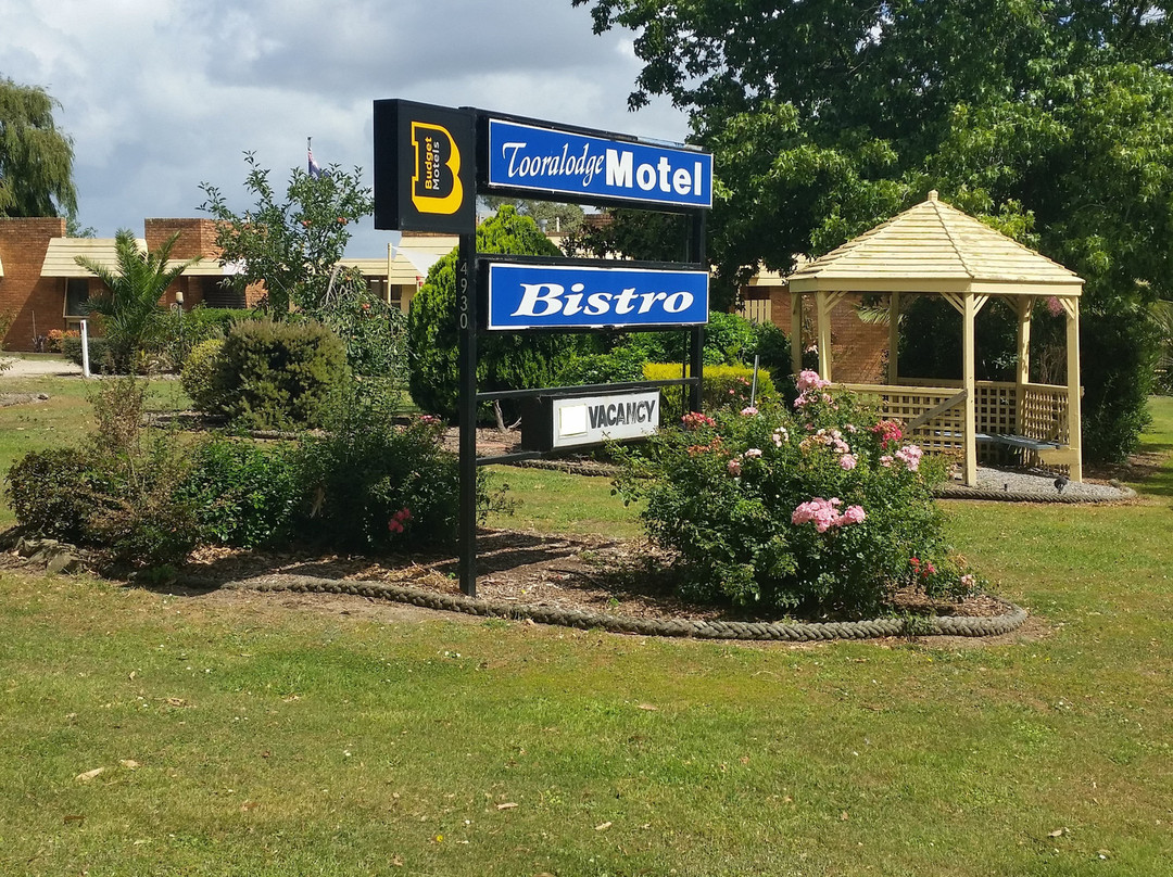 托洛奇汽车旅馆主图